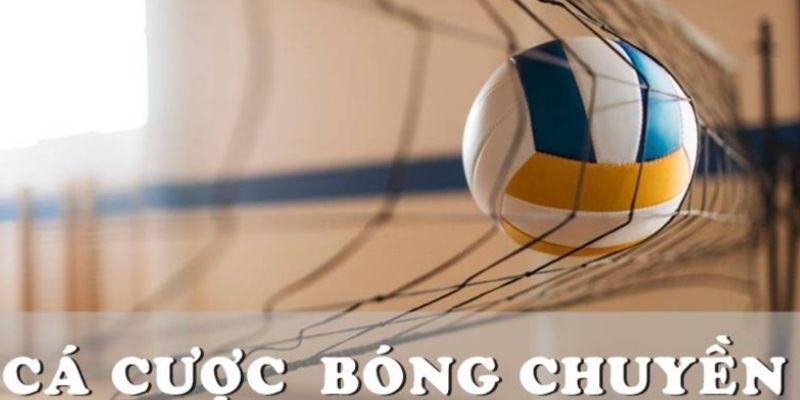 Khám phá môn cá cược bóng chuyền Bet88