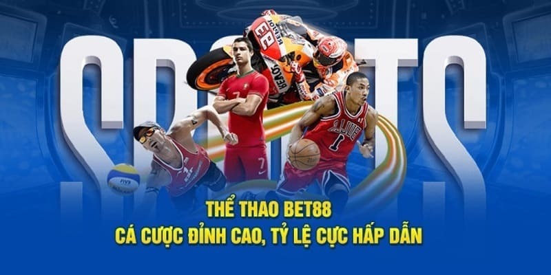 Hòa vào những trận túc cầu sôi động tại bet88