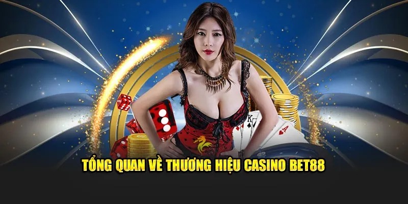 Lịch sử hình thành của casino bet88